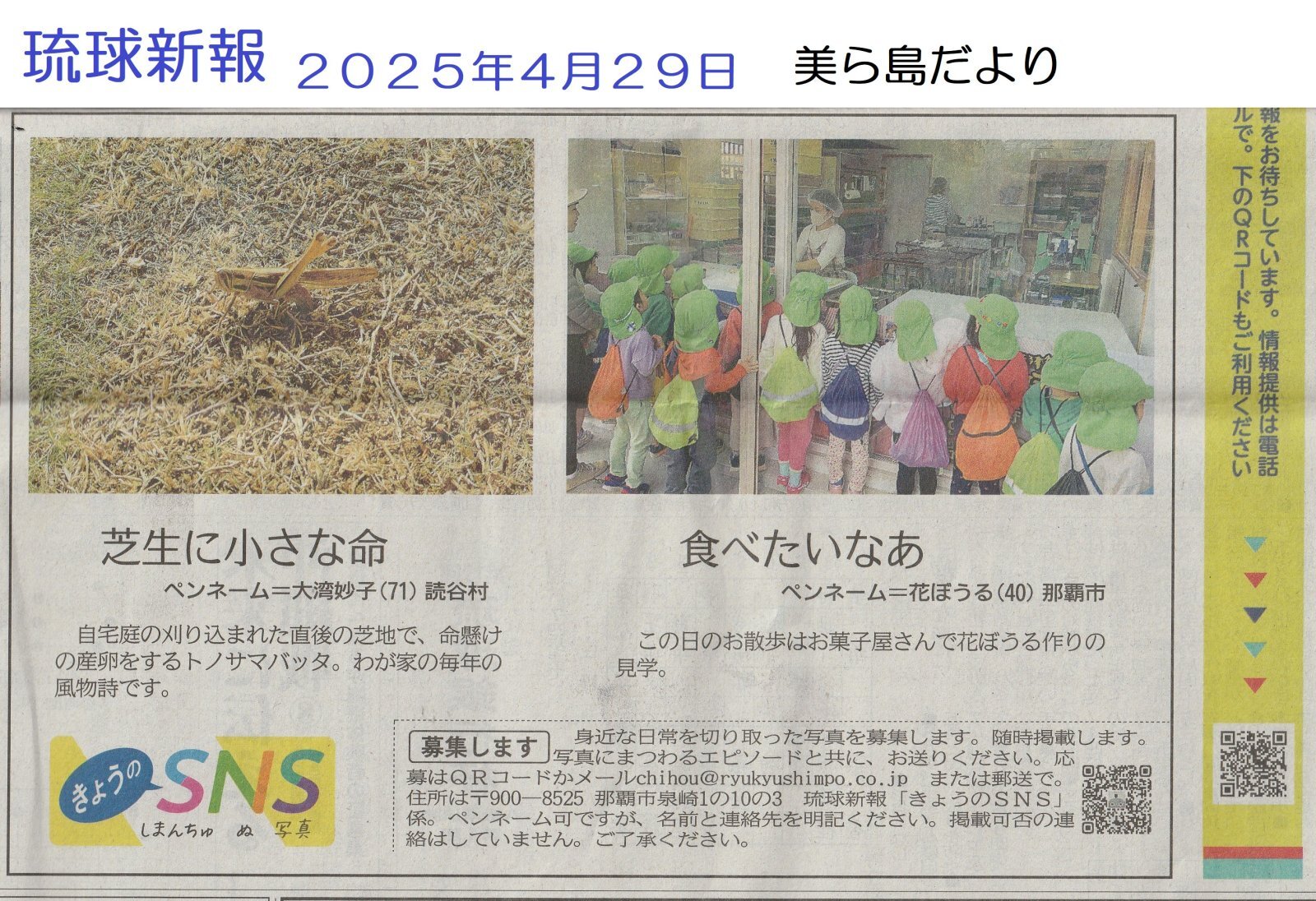 園児たちのお散歩